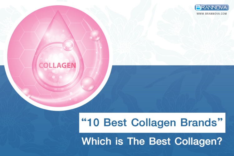 10 Best Collagen Brands Which is The Best Collagen?