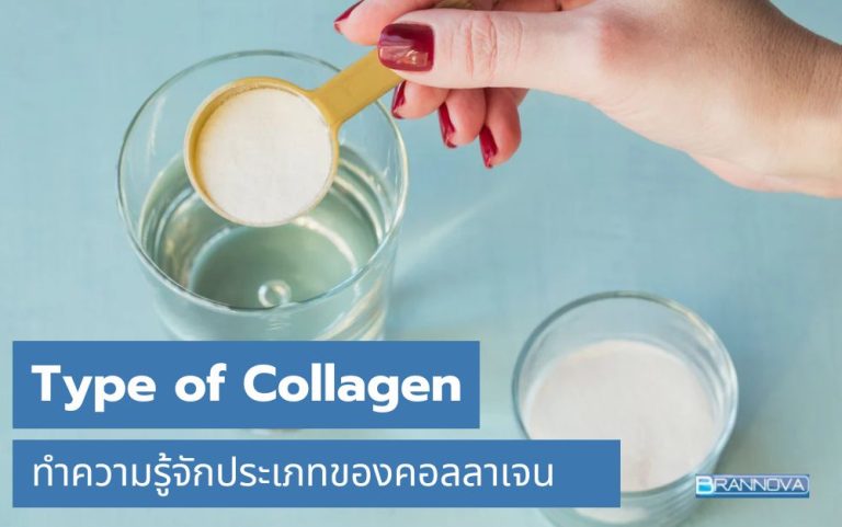 Type of Collagen รู้จักประเภทของคอลลาเจนและประโยชน์ต่อร่างกาย